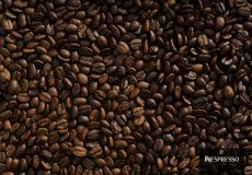 فرق قهوه عربیکا و روبوستا چیست؟ کدام برای کپسول نسپرسو بهتر است؟