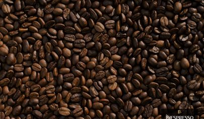 فرق قهوه عربیکا و روبوستا چیست؟ کدام برای کپسول نسپرسو بهتر است؟