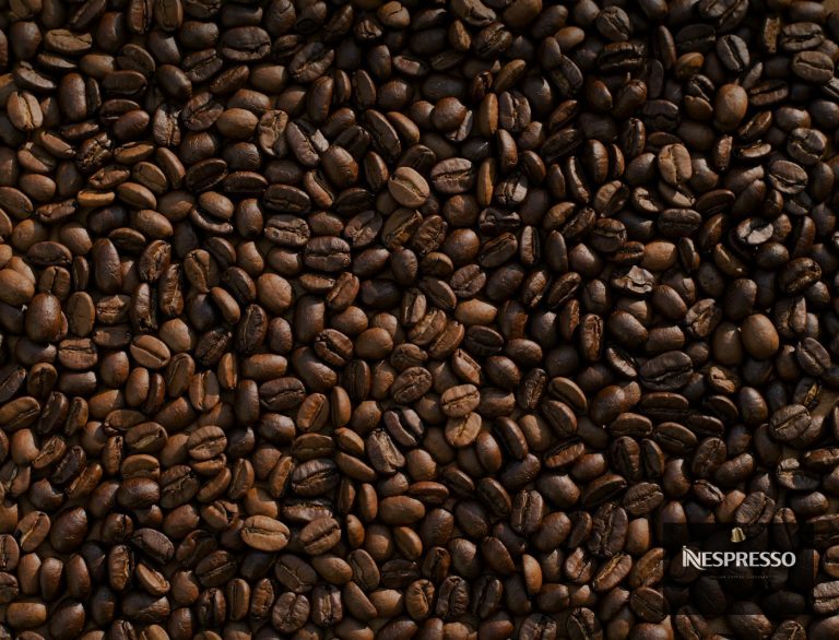 فرق قهوه عربیکا و روبوستا چیست؟ کدام برای کپسول نسپرسو بهتر است؟